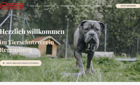 Screenshot 2025-08-07 115355